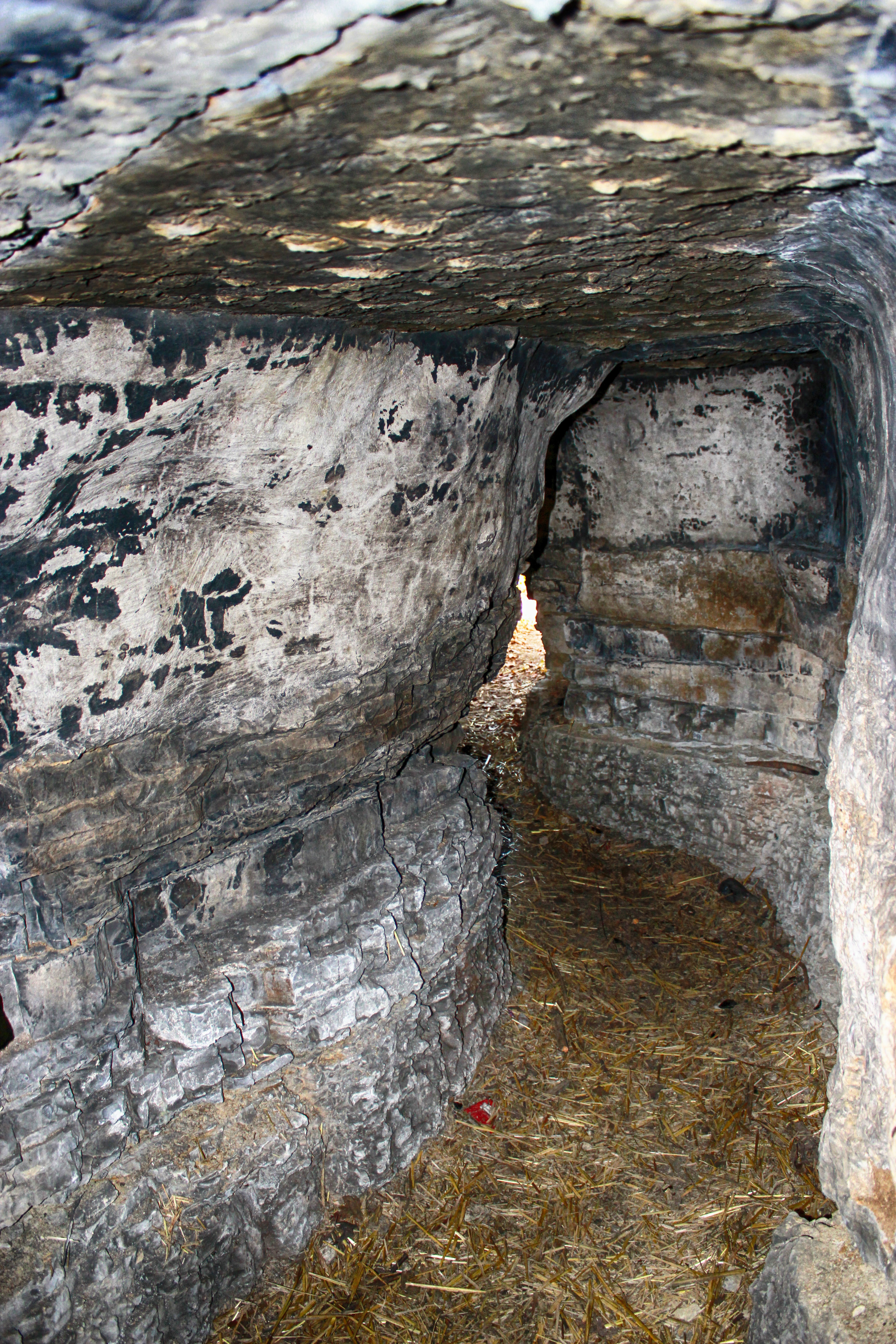 Ancient markings on the stone walls of a cave